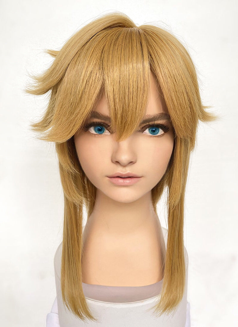 The Legend of Zelda: Tears of the Kingdom Link Blonde Cosplay Wig TB1658