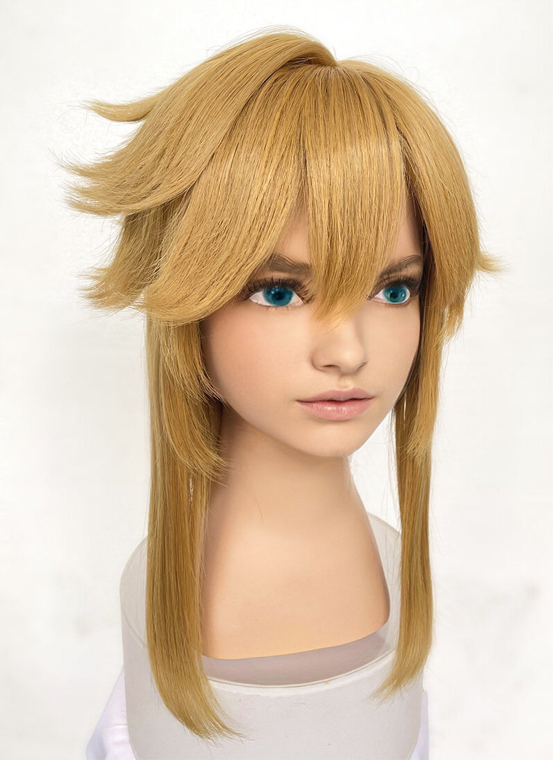 The Legend of Zelda: Tears of the Kingdom Link Blonde Cosplay Wig TB1658
