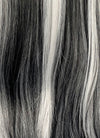 Monster High Frankie Stein Black With Silver Grey Highlights Lace Front Synthetic Wig LW4030