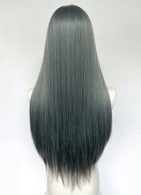 Long Straight Mixed Grey Blue Synthetic Wig NL079
