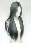 Long Straight Mixed Grey Blue Synthetic Wig NL079