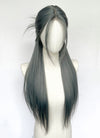 Long Straight Mixed Grey Blue Synthetic Wig NL079