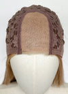 Long Straight Brown Mixed Blonde Highlights Money Piece Synthetic Wig NL081