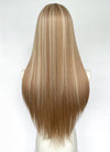 Long Straight Brown Mixed Blonde Highlights Money Piece Synthetic Wig NL081