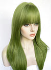 Long Straight Green Cosplay Wig NS523
