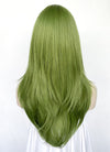 Long Straight Green Cosplay Wig NS523