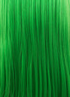 Long Straight Green Lace Front Synthetic Hair Wig LF031