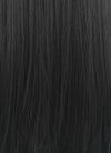 Long Straight Jet Black Lace Front Synthetic Hair Wig LF327 - CosplayBuzz