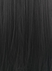 Long Straight Jet Black Lace Front Synthetic Hair Wig LF327 - CosplayBuzz