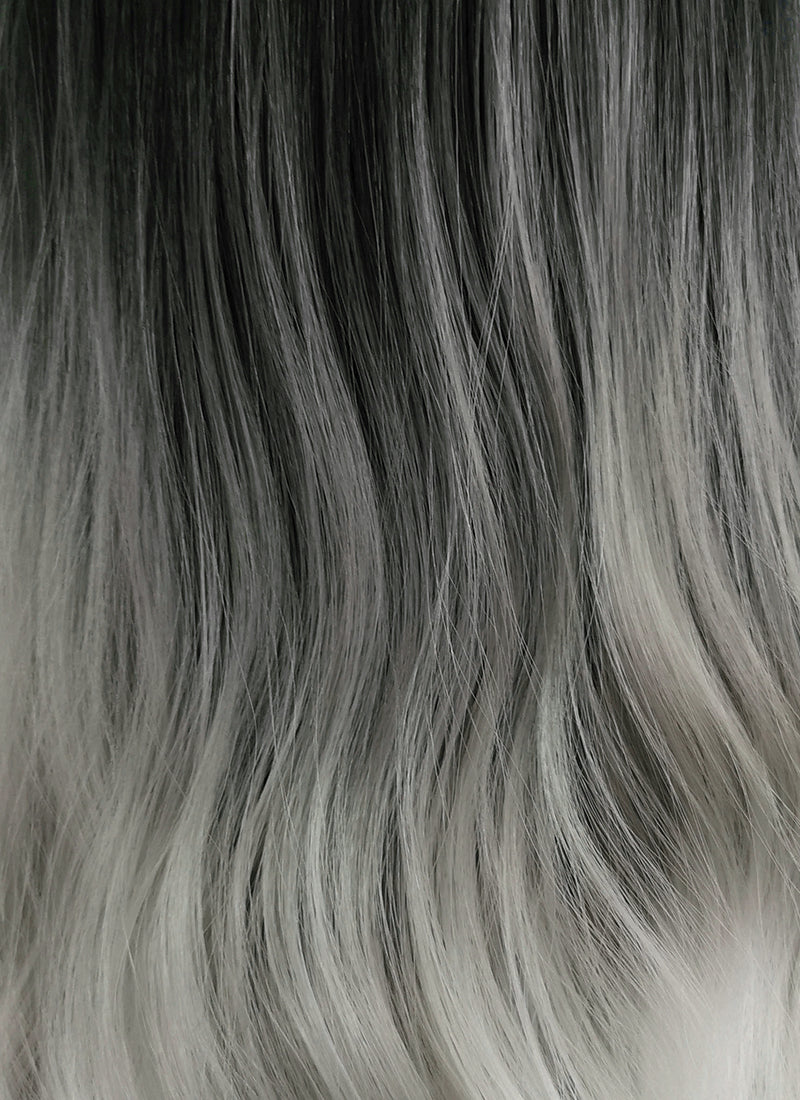 Long Wavy Black Grey White Mixed Lace Front Synthetic Hair Wig LF781