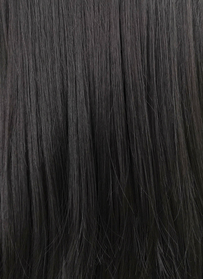 Long Straight Black Lace Front Synthetic Hair Wig LW769