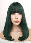 Long Straight Dark Green Cosplay Wig NS284
