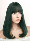 Long Straight Dark Green Cosplay Wig NS284