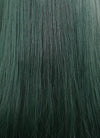 Long Straight Dark Green Cosplay Wig NS284