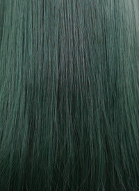 Long Straight Dark Green Cosplay Wig NS284
